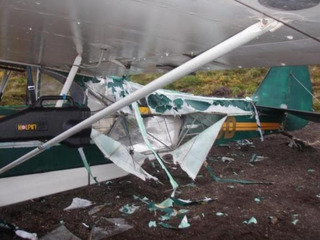Illustration for article titled Bear Attacks Plane, Pilot Fixes Plane With Duct Tape, Pilot Flies Duct-Taped Plane Home